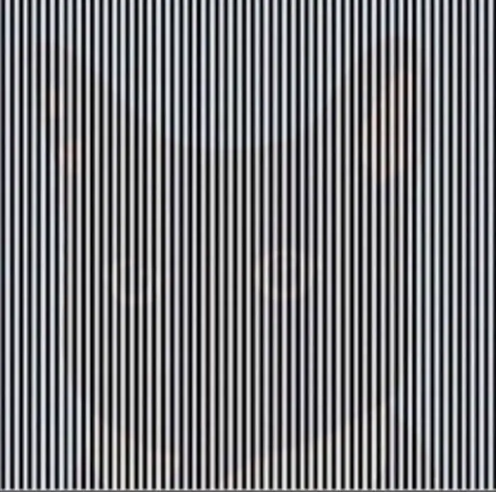 vertical stripes hiding picture