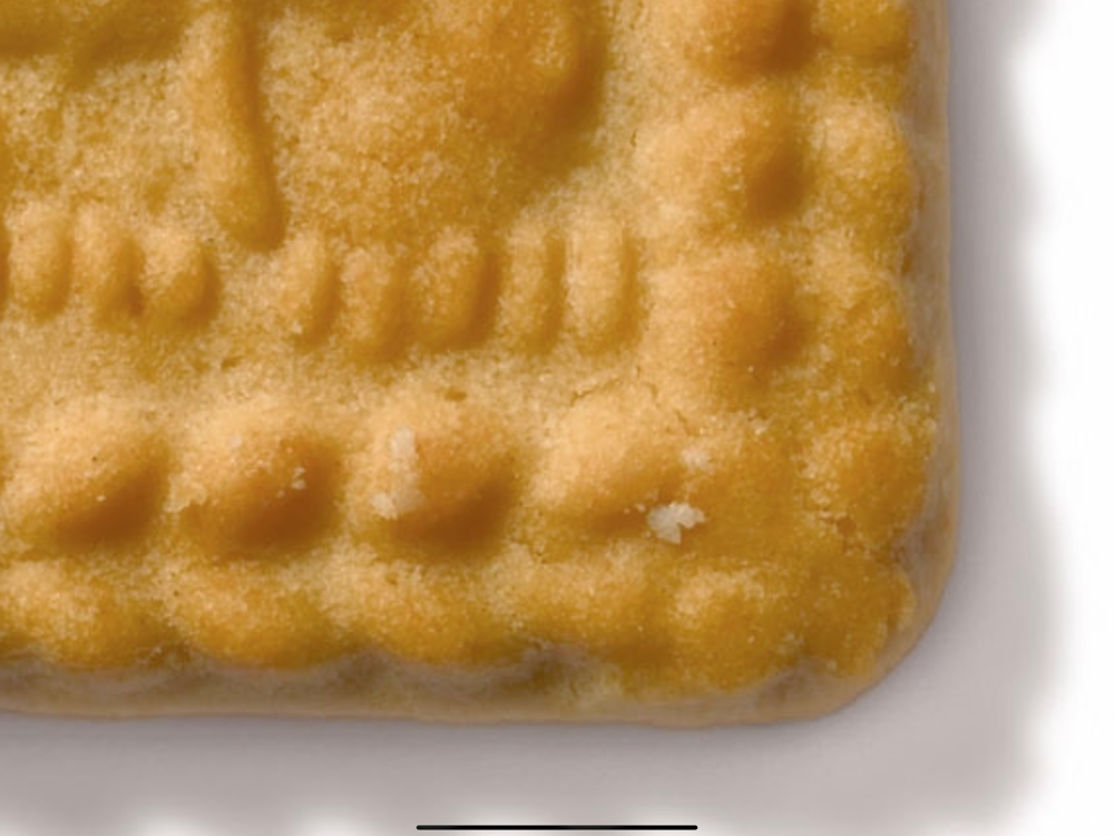 mystery biscuit
